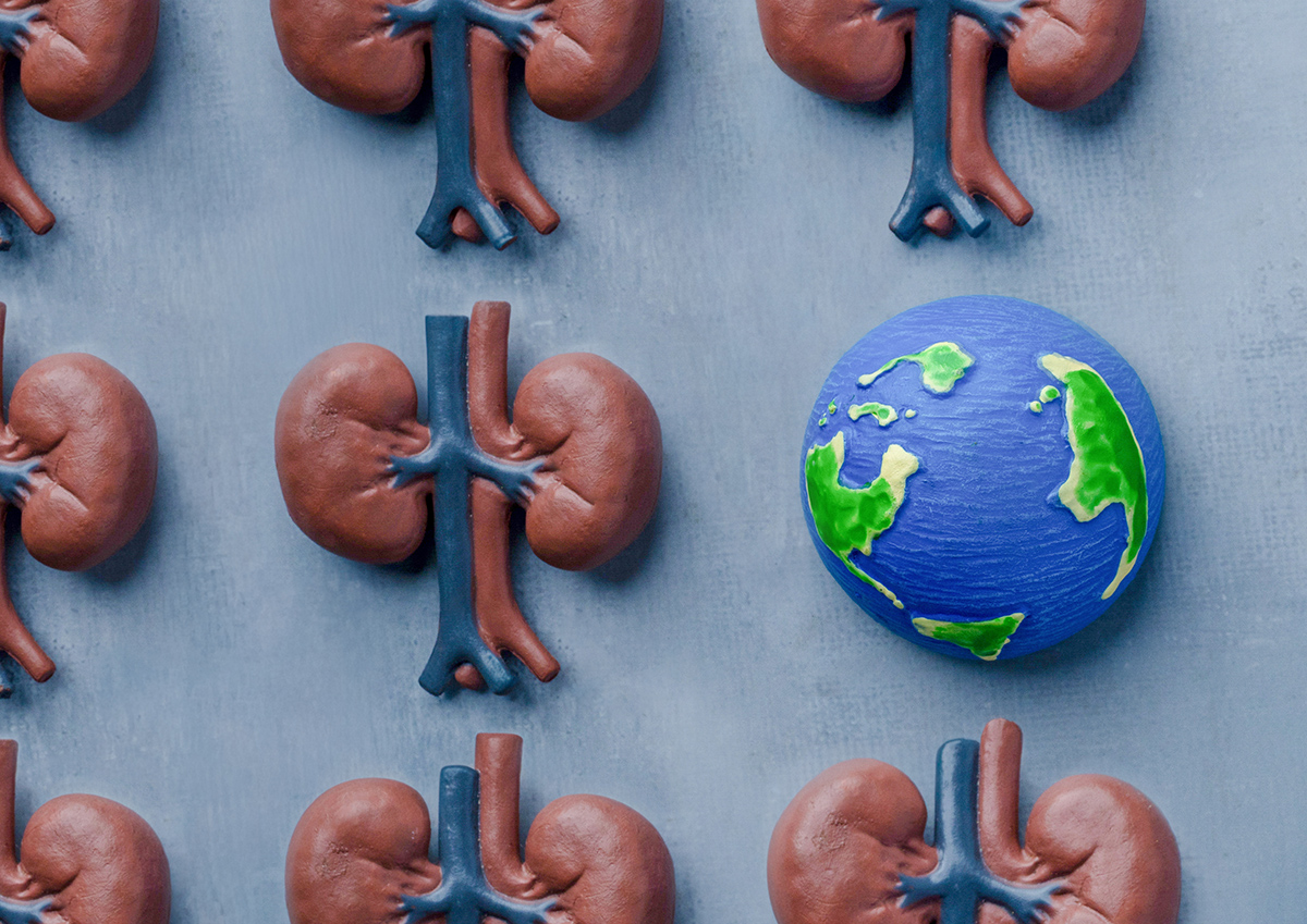 Estadísticas de la campaña